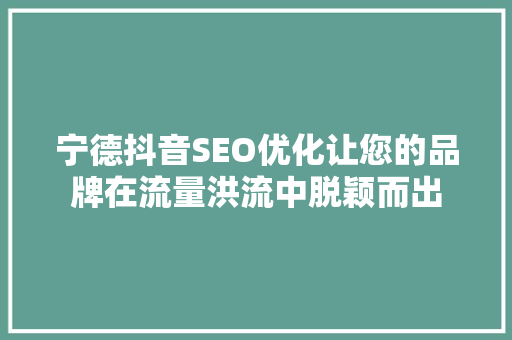 宁德抖音SEO优化让您的品牌在流量洪流中脱颖而出