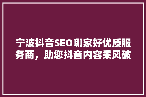宁波抖音SEO哪家好优质服务商，助您抖音内容乘风破浪