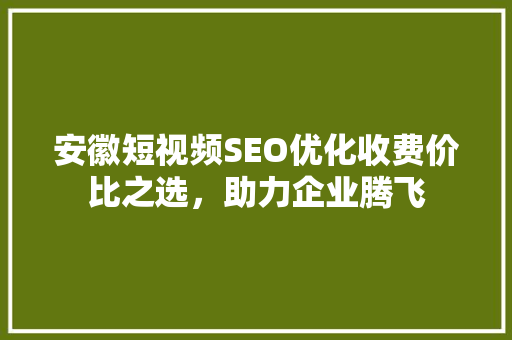 安徽短视频SEO优化收费价比之选，助力企业腾飞
