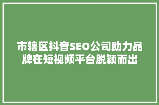 市辖区抖音SEO公司助力品牌在短视频平台脱颖而出