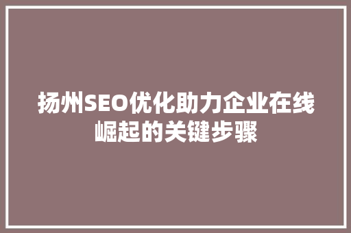 扬州SEO优化助力企业在线崛起的关键步骤