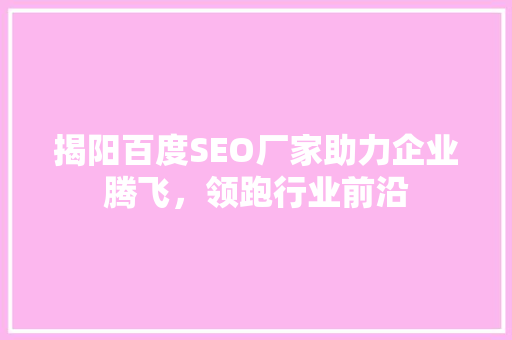 揭阳百度SEO厂家助力企业腾飞，领跑行业前沿
