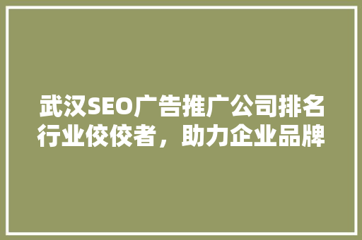 武汉SEO广告推广公司排名行业佼佼者，助力企业品牌腾飞