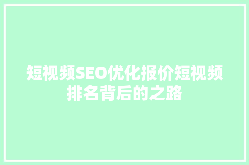 短视频SEO优化报价短视频排名背后的之路