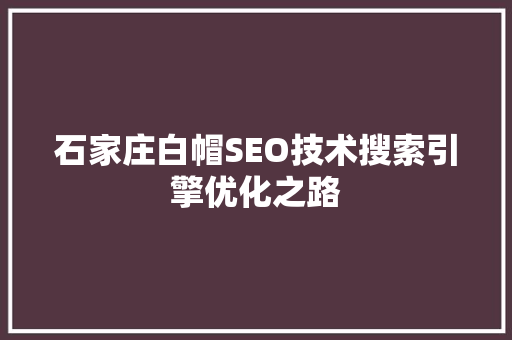 石家庄白帽SEO技术搜索引擎优化之路