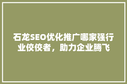 石龙SEO优化推广哪家强行业佼佼者，助力企业腾飞