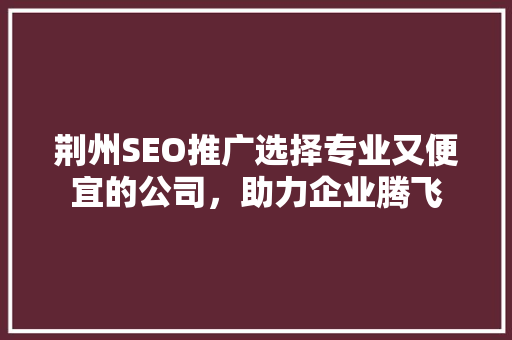 荆州SEO推广选择专业又便宜的公司，助力企业腾飞