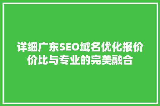 详细广东SEO域名优化报价价比与专业的完美融合
