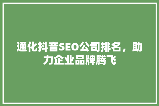 通化抖音SEO公司排名，助力企业品牌腾飞