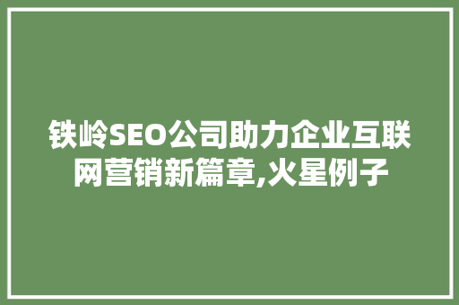 铁岭SEO公司助力企业互联网营销新篇章,火星例子