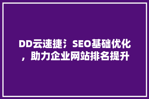 DD云速捷氵SEO基础优化，助力企业网站排名提升