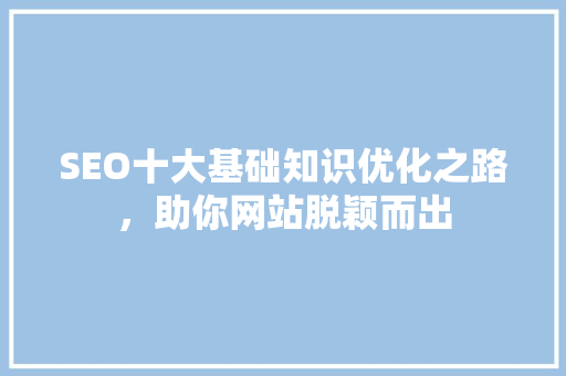 SEO十大基础知识优化之路，助你网站脱颖而出  第1张