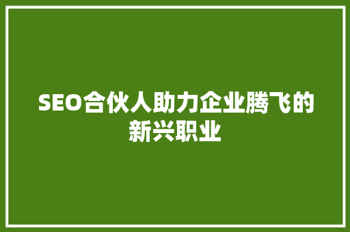 SEO合伙人助力企业腾飞的新兴职业