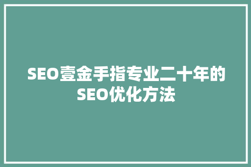 SEO壹金手指专业二十年的SEO优化方法