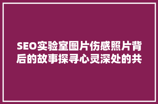 SEO实验室图片伤感照片背后的故事探寻心灵深处的共鸣