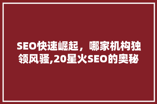 SEO快速崛起，哪家机构独领风骚,20星火SEO的奥秘