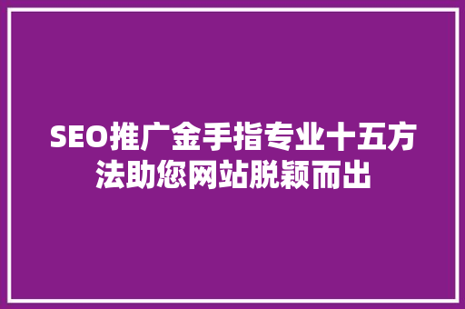 SEO推广金手指专业十五方法助您网站脱颖而出