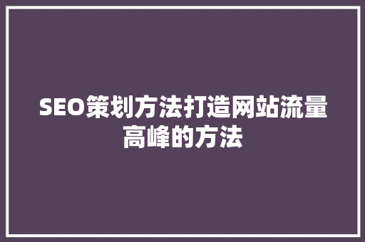 SEO策划方法打造网站流量高峰的方法