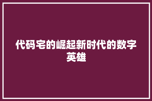 代码宅的崛起新时代的数字英雄