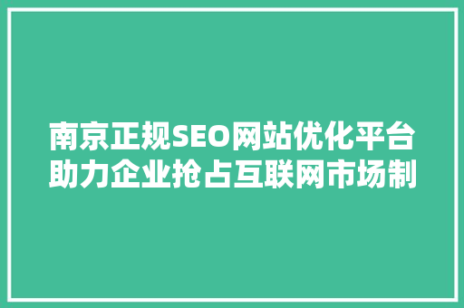 南京正规SEO网站优化平台助力企业抢占互联网市场制高点