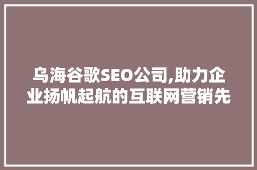 乌海谷歌SEO公司,助力企业扬帆起航的互联网营销先锋