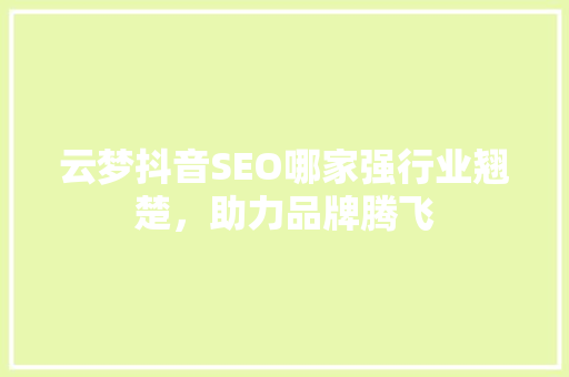 云梦抖音SEO哪家强行业翘楚，助力品牌腾飞