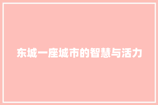东城一座城市的智慧与活力
