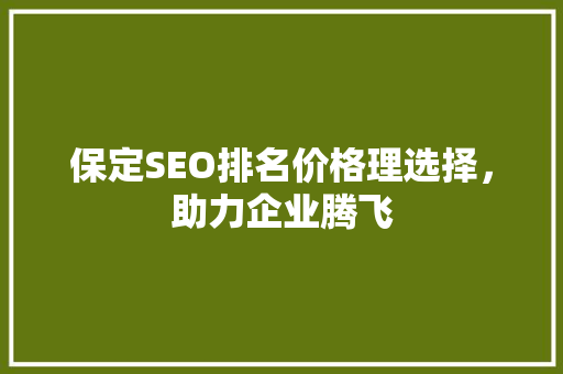 保定SEO排名价格理选择，助力企业腾飞