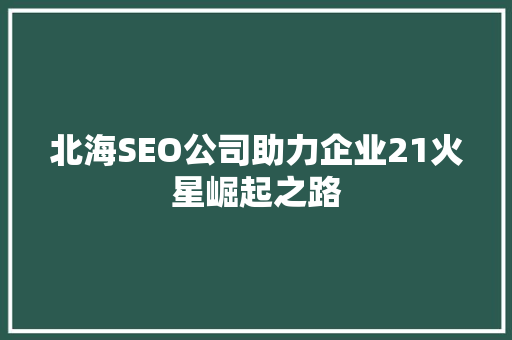 北海SEO公司助力企业21火星崛起之路
