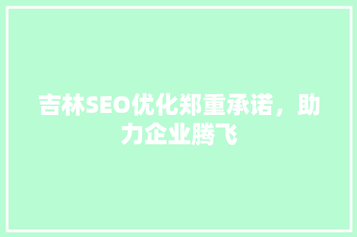 吉林SEO优化郑重承诺，助力企业腾飞