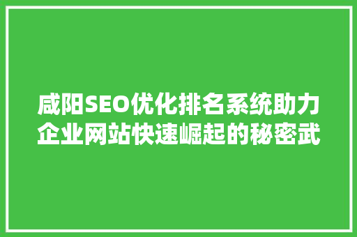 咸阳SEO优化排名系统助力企业网站快速崛起的秘密武器