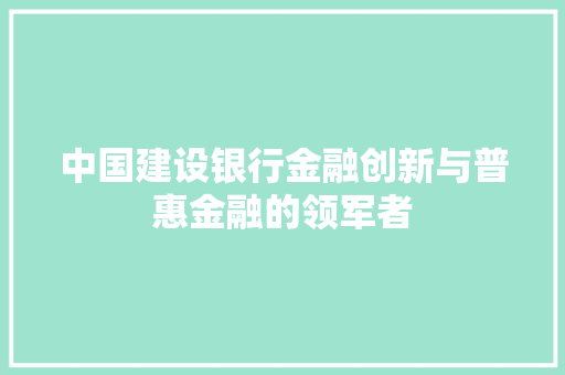 中国建设银行金融创新与普惠金融的领军者