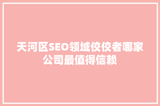 天河区SEO领域佼佼者哪家公司最值得信赖