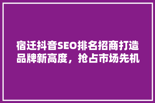 宿迁抖音SEO排名招商打造品牌新高度，抢占市场先机