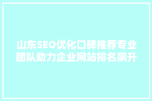 山东SEO优化口碑推荐专业团队助力企业网站排名飙升