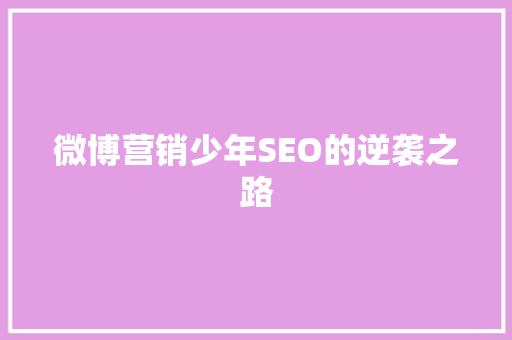 微博营销少年SEO的逆袭之路
