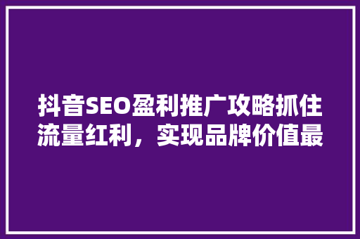 抖音SEO盈利推广攻略抓住流量红利，实现品牌价值最大化