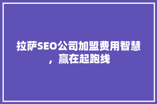 拉萨SEO公司加盟费用智慧，赢在起跑线