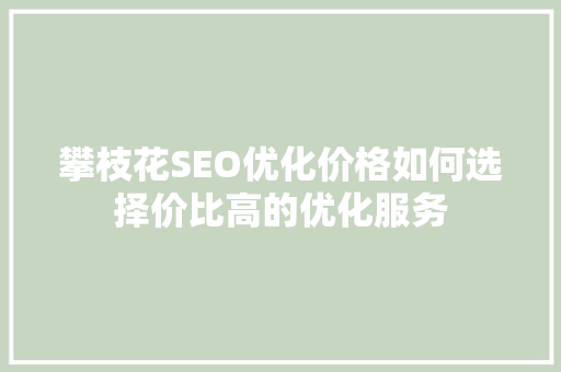 攀枝花SEO优化价格如何选择价比高的优化服务