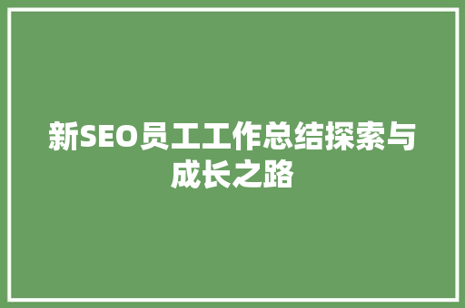 新SEO员工工作总结探索与成长之路