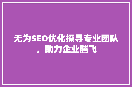 无为SEO优化探寻专业团队，助力企业腾飞