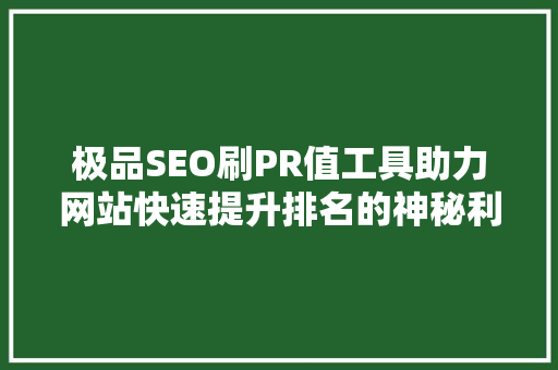 极品SEO刷PR值工具助力网站快速提升排名的神秘利器