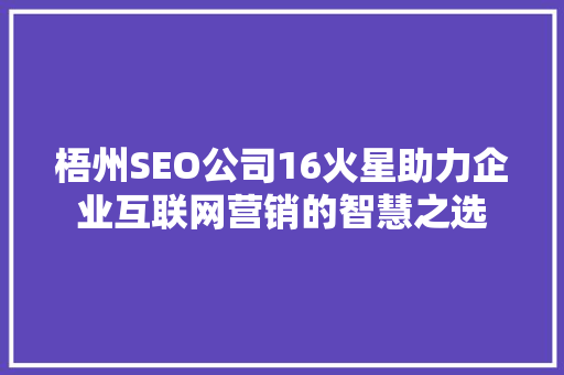 梧州SEO公司16火星助力企业互联网营销的智慧之选