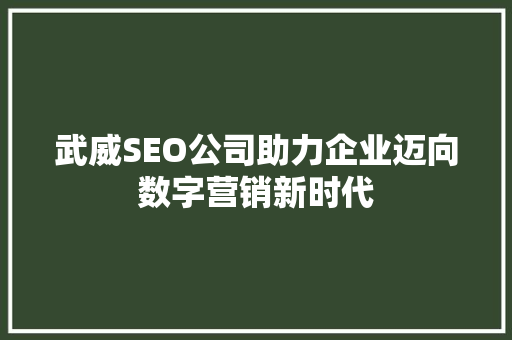 武威SEO公司助力企业迈向数字营销新时代