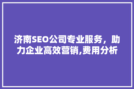 济南SEO公司专业服务，助力企业高效营销,费用分析及优势解读
