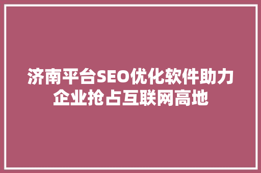 济南平台SEO优化软件助力企业抢占互联网高地