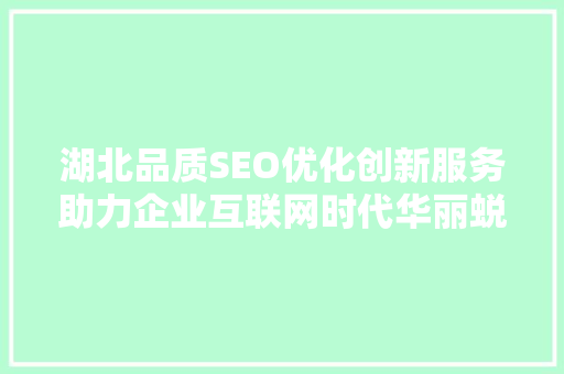 湖北品质SEO优化创新服务助力企业互联网时代华丽蜕变