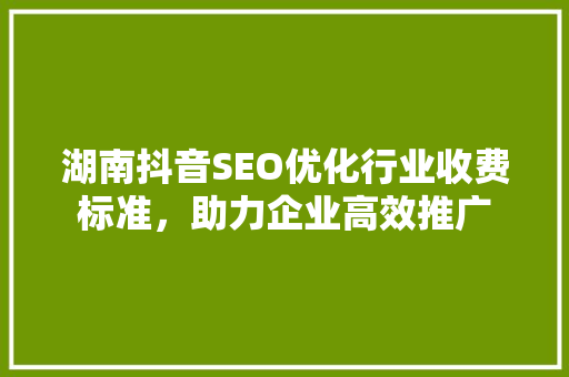 湖南抖音SEO优化行业收费标准，助力企业高效推广