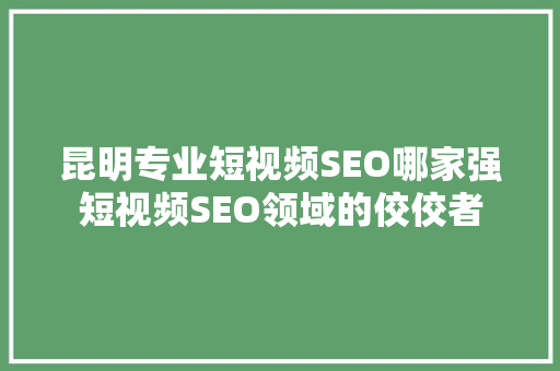 昆明专业短视频SEO哪家强短视频SEO领域的佼佼者