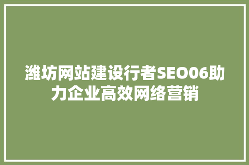潍坊网站建设行者SEO06助力企业高效网络营销